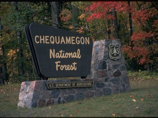 Chequamegon National Forest