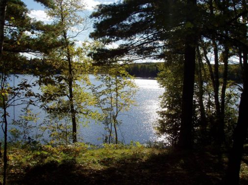 Lake View